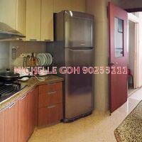 Rafflesia Condominium (D20), Condominium #93195812